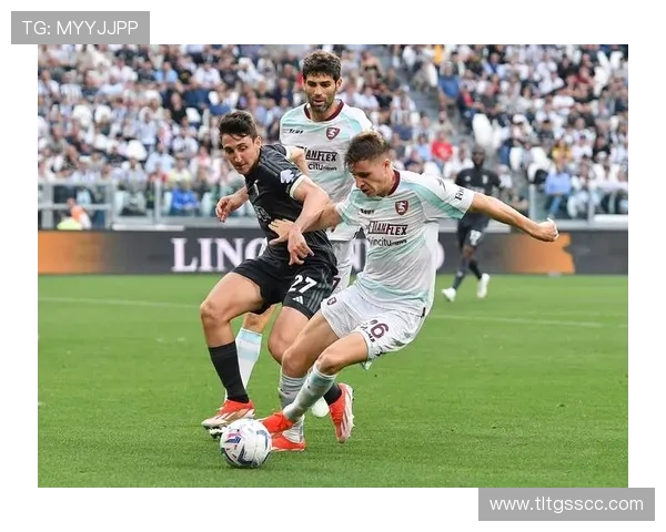 萨勒尼塔纳俱乐部历史回顾与未来展望:从传统球队到意甲新星的崛起 萨勒尼塔纳俱乐部历史回顾与未来展望:从传统球队到意甲新星的崛起