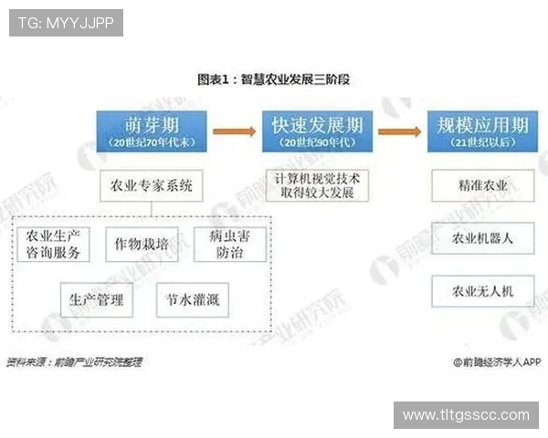 伯明翰足球俱乐部的发展历程与未来展望分析 伯明翰足球俱乐部的发展历程与未来展望分析