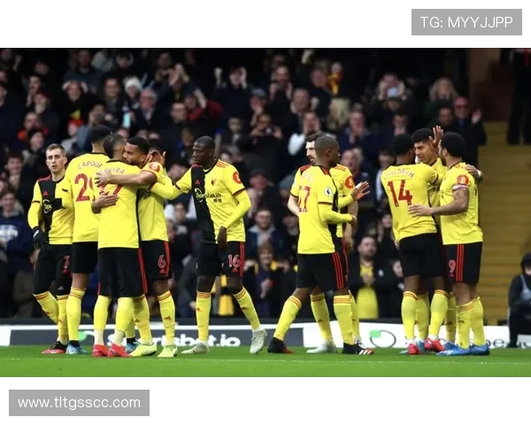 沃特福德俱乐部重塑英伦足球精神的崛起与未来发展之路