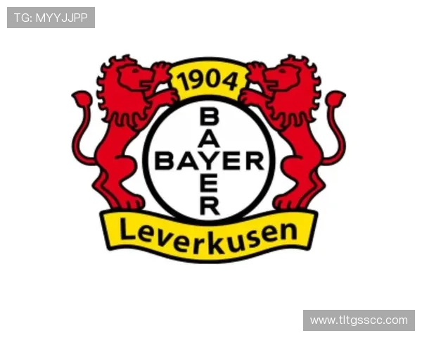 奥格斯堡俱乐部百年征程与德甲赛场崛起之路历史文化与青训发展全景观察