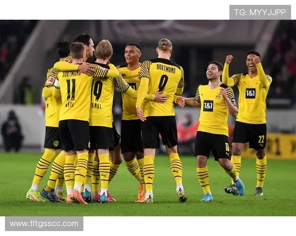 霍芬海姆1899俱乐部的发展历程与德国足球的崛起之路